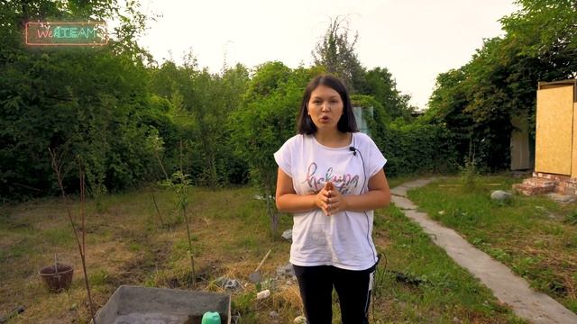 Как сделать компост на дачном участке или в квартире? смотреть онлайн