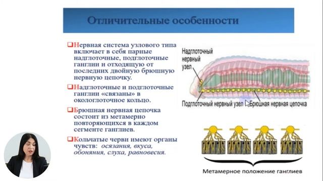 Биология, 10-й класс, Тип: Кольчатые черви. Класс Малощетинковые черви смотреть онлайн