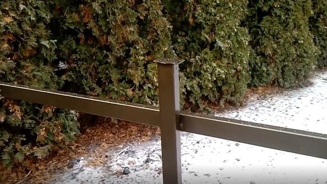 Красивый забор из шалевки и металла. смотреть онлайн