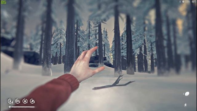 Снайпер каменного века?редкое достижение Steam? ?THE LONG DARK? смотреть онлайн