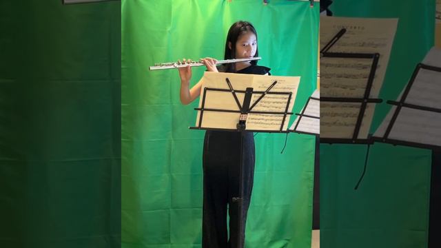Quantz Concerto in G major смотреть онлайн