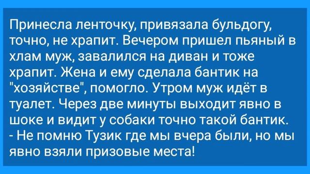 Жена и Муж с Красным Бантиком на Хозяйстве! Анекдот Дня для Настроения! Юмор и Смех! смотреть онлайн