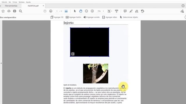 COLOCAR un VIDEO en PDF con ADOBE ACROBAT Pro DC смотреть онлайн