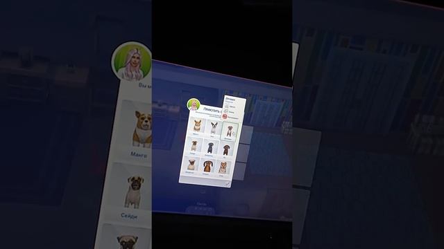 Как приютить питомца в симс 4?? смотреть онлайн