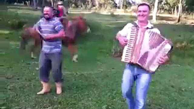 Um show de morrer de rir смотреть онлайн