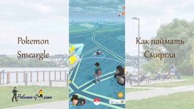 Pokemon Smeargle и где его взять в Покемон ГО - как поймать Смиргла смотреть онлайн