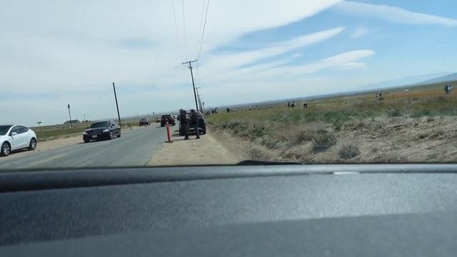 США/Парк маков в середине пустыни Мохаве/Еду по американской пустыне/ПоКалифорнии на машине с детьм смотреть онлайн