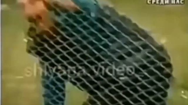 Санек и Собака #АлександрПокидко#КБ#ВЕЛИК#СОБАКА#хочу быть собакой!.