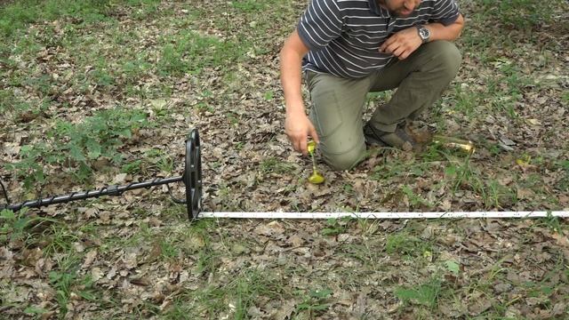 Detech Chaser & SEF 12x10