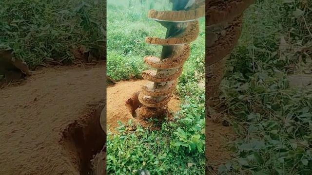 #funny #duet #new #chicken #song #dance #meme #baby #cute смотреть онлайн