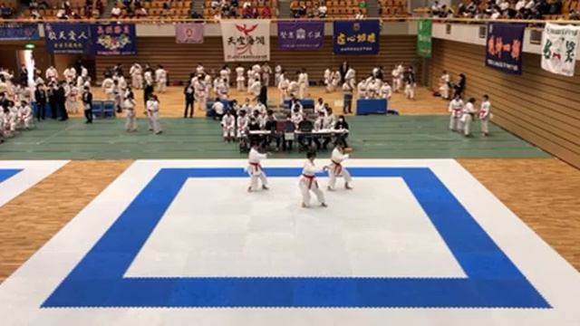 6月11日午前 Tatami1 第51回関東高等学校空手道大会 смотреть онлайн