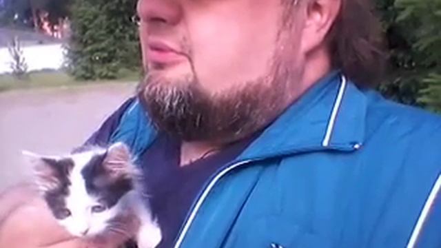 Защита🐺🐱🐈🐯🐅Животных Новая идея объединения мира смотреть онлайн