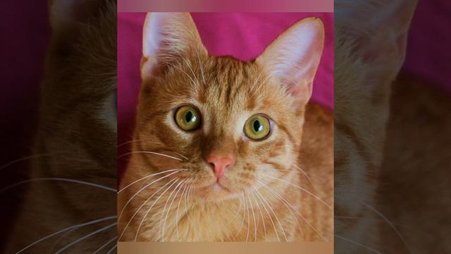 Бывают ночи будто дни... смотреть онлайн