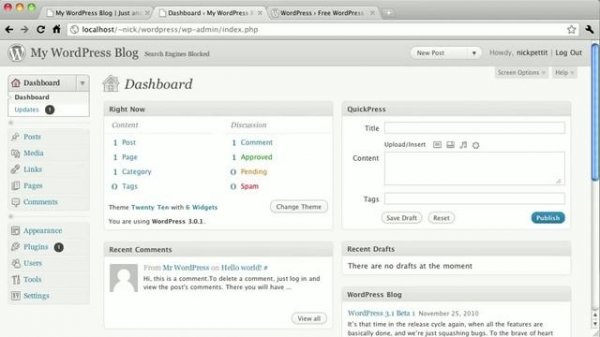 Wordpress Theme Design Course: Introduction