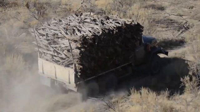 Саксаул смотреть онлайн