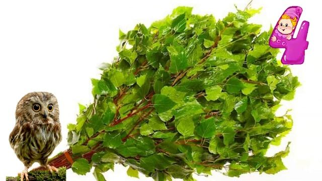 Ирина Савина, воспитатель Школы № 1474. Выпуск 3. Про березу смотреть онлайн