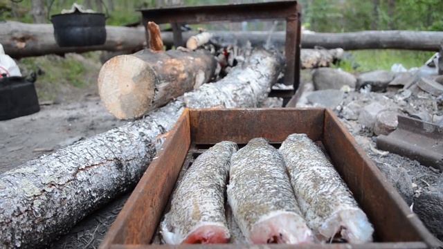 Как приготовить суши из щуки | Provolod & Leeloo смотреть онлайн