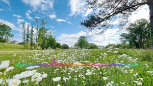 Ганапи Абуев - Мой цветок 2023