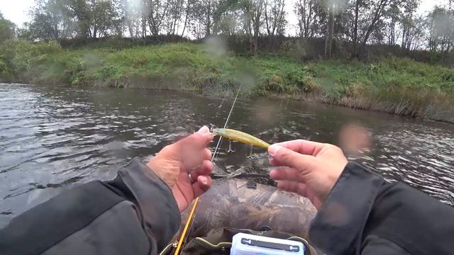 Щука на воблеры. Река Межа. Рыбалка в сентябре смотреть онлайн