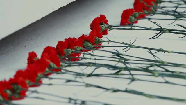 День знаний в РостГМУ смотреть онлайн