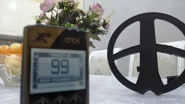 Металлоискатель Xp Orx и серебряный рубль 1899г смотреть онлайн