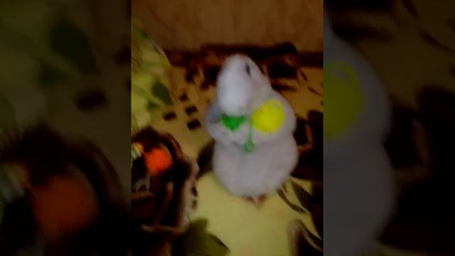 Ждун Grush поёт мой клип смотреть онлайн
