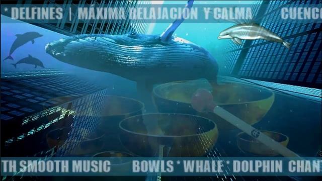 MÚSICA CON CANTOS DE BALLENAS, DELFINES Y CUENCOS TIBETANOS смотреть онлайн