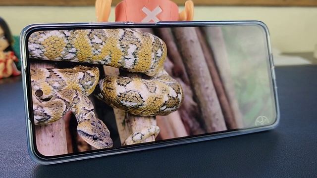 Huawei Nova 10 SE - 108MP Fast Charging Phone! (Unboxing and Review) смотреть онлайн