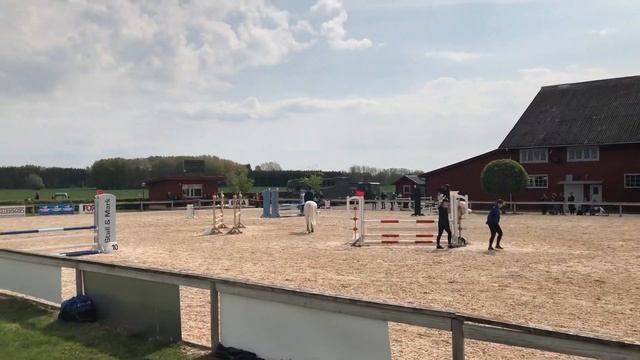 Munsboro Lemon drop vinst LB/90cm смотреть онлайн