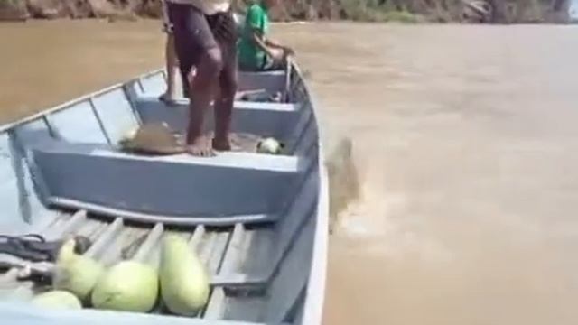 pesca com linha no Amazonas смотреть онлайн