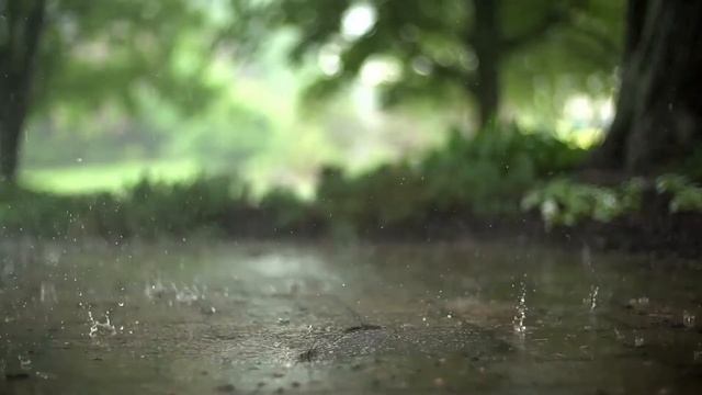 Крупные капли дождя смотреть онлайн
