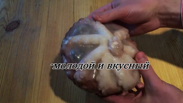 Осьминог молодой смотреть онлайн