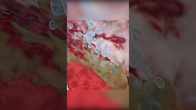 Озонированное масло Биопатриот смотреть онлайн