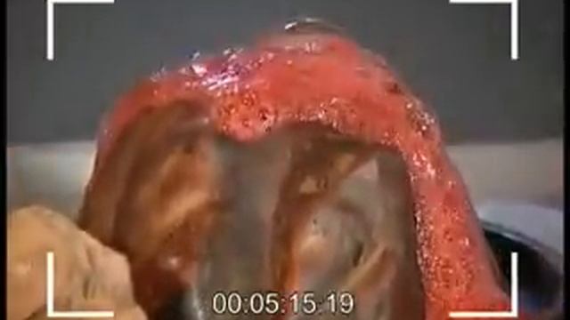 Физика 7. Движение Луны вокруг Земли.Строение Земли.Фотосинтез.Приливы — Академия занимательных нау смотреть онлайн