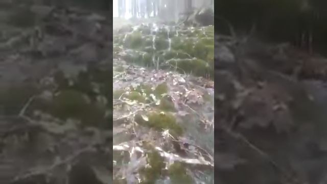 Дарго смотреть онлайн