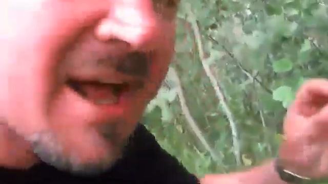 бежецк и дорохово смотреть онлайн