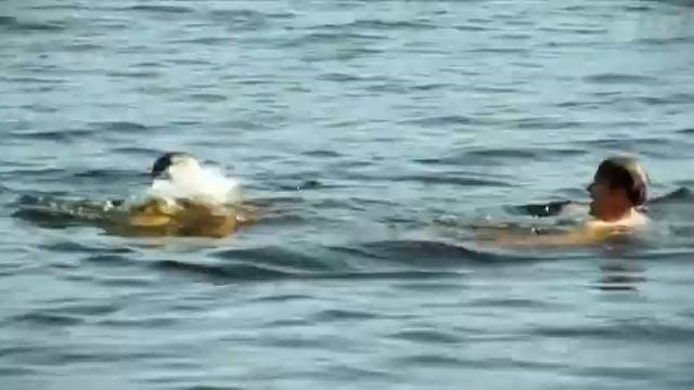 Почему В Семнадцать Лет... смотреть онлайн