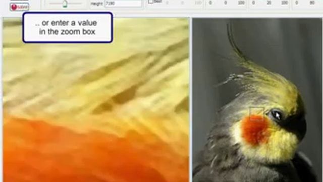 Resize image with reshade - Zoom control смотреть онлайн