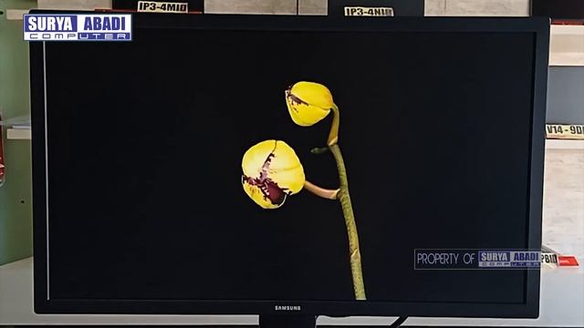 MONITOR SAMSUNG S31A смотреть онлайн
