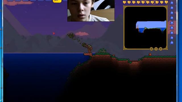 Понты в Терарии