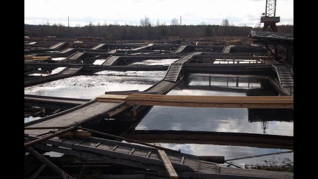 НАЙСТЕНЪЯРВИ [УЖАСЫ РОССИЙСКИХ ГОРОДОВ] смотреть онлайн