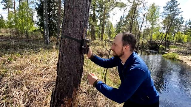 А Медведь ли в КАДРЕ??? Крупный зверь повернул ФОТОЛОВУШКУ. Ставлю лесные камеры. ЛОСИ и ЗАЙЦЫ #1 смотреть онлайн