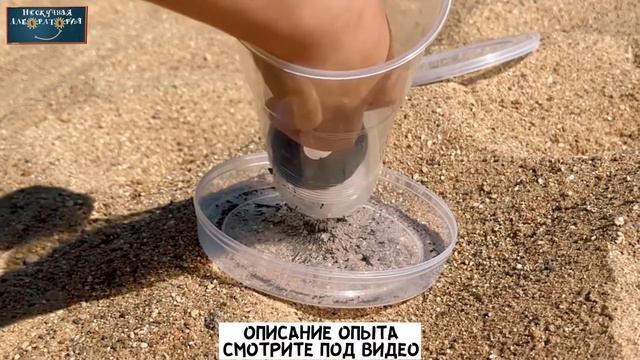 Почему песчинки магнитятся? Летний опыт с песком и магнитом для детей.