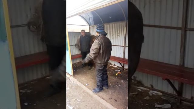 Сельские алкашы смотреть онлайн