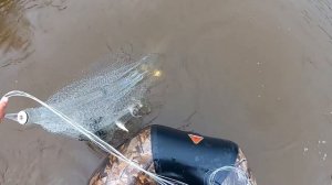 ТАКОГО Я ЕЩЁ НЕ ПОДНИМАЛ,ДУМАЛ ЭТО ЕЁ ПОСЛЕДНЯЯ РЫБАЛКА!!! УДАЧНАЯ РЫБАЛКА НА КАСТИНГОВУЮ СЕТЬ.