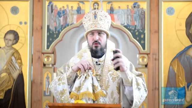 Слово митрополита Савватия по окончании Божественной Литургии в Неделю о блудном сыне смотреть онлайн