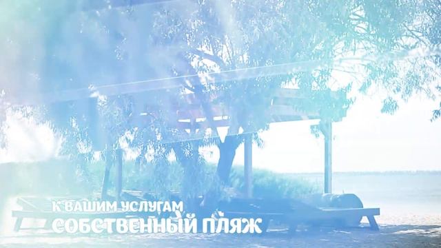 База Дача смотреть онлайн