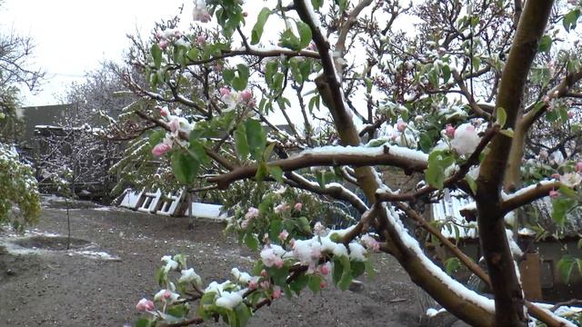 Крым апрель 2017 смотреть онлайн