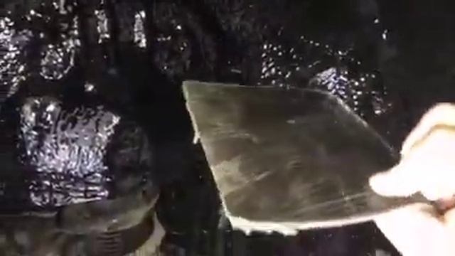 Мастерская Дома