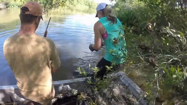 Alligator Hunt 2016 Martin’s Louisiana Alligator Hunts